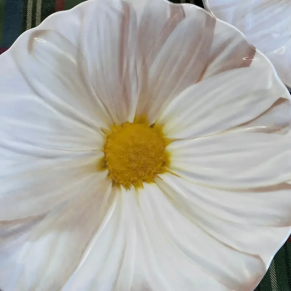 Target Set of 4 Pink-Tinted White Daisy Melamine Small‎ Plates, 2 Sizes